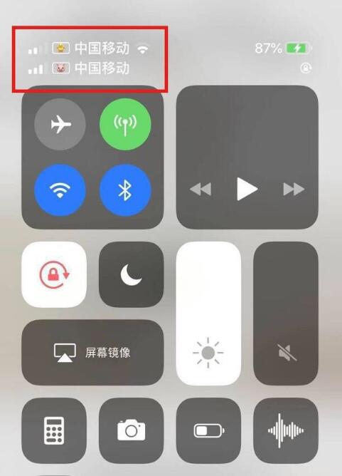 鼓楼苹果手机维修分享为 iPhone 12 双卡设置标签 